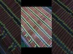 OEM-High Intensity UV Curing Lamp 20000 uur levensduur voor inkjetprinter