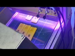 Een nadere blik: Geen ozon UV-uithardings transportbandmachine, 265V UV-droogsysteem, geen VOC-uitstoot